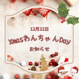 お待たせしました！ 「XmasわんちゃんDay…